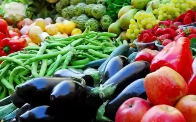 زيادة صادرات الخضار والفواكه الأردنية 24%