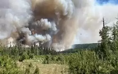 كندا تتوقف عن إطفاء الحرائق بغاباتها