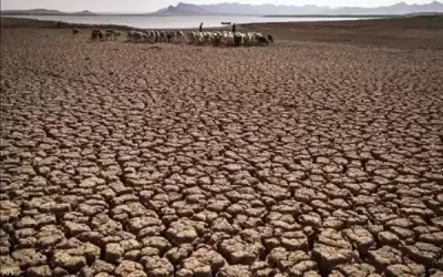 الجفاف يضرب الأرض من أقصاها لأقصاها