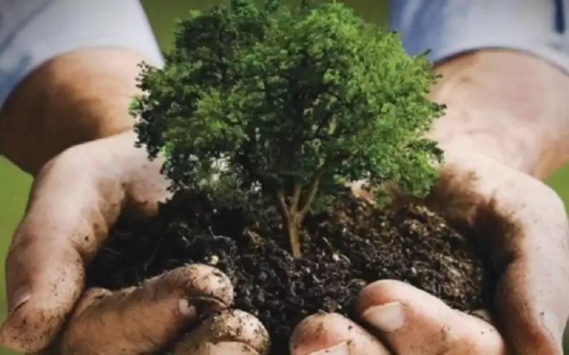 خطة لتنفيذ المبادرة الوطنية لزراعة 10