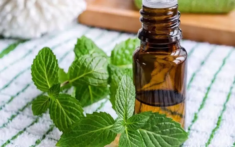 فوائد لا تعد ولا تحصى لزيت