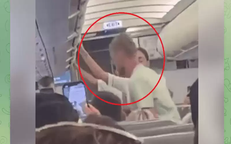 لحظات مرعبة على متن طائرة.. ملاكم