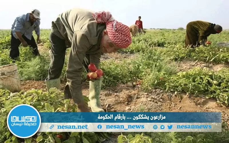 الأرقام الرسمية تؤكد نمو القطاع الزراعي