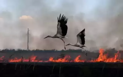 500 يوم من حرب روسية طويلة