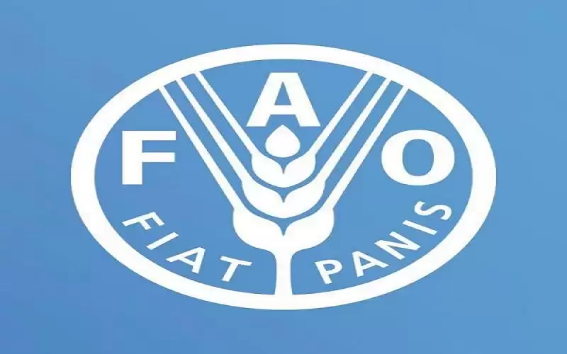 انتخاب مصر عضوا في مجلس الفاو