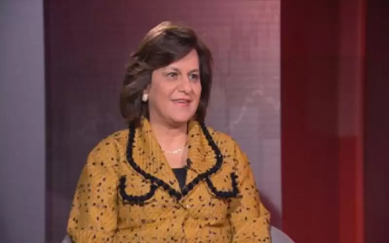 السقاف: يوجد قصص نجاح للاستثمار في