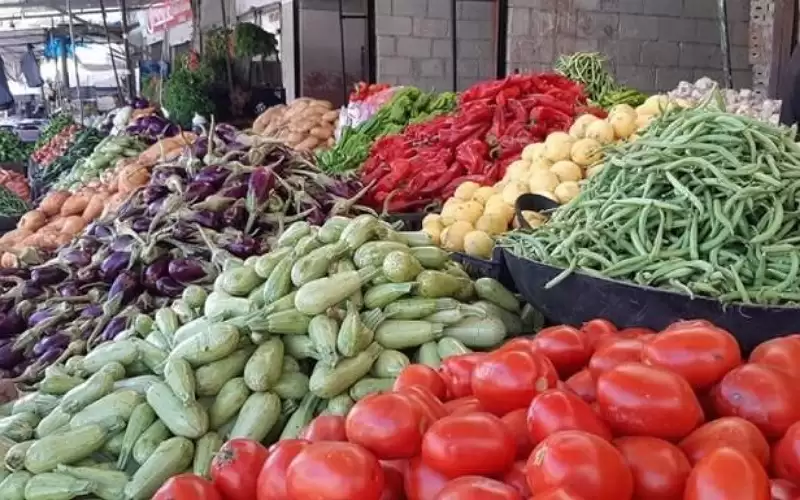 3063 طن خضار وفواكه واردات السوق