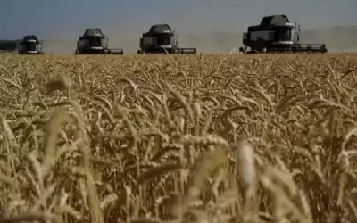 روسيا تضع شروطا لتمديد صفقة الحبوب
