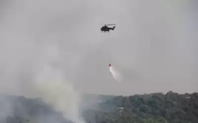 الدفاع المدني يتعامل مع حريق أعشاب