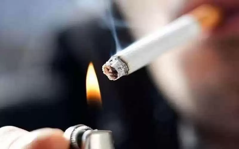 8 آلاف وفاة سنويا في الأردن