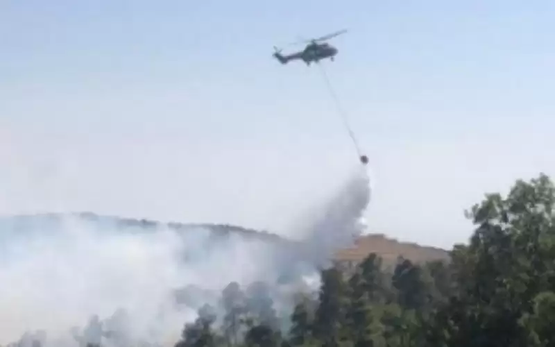 تشكيل فريق لحصر أضرار حريق غابات