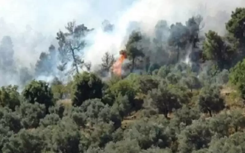 الزراعة: تشكيل فريق لحصر أضرار حرائق