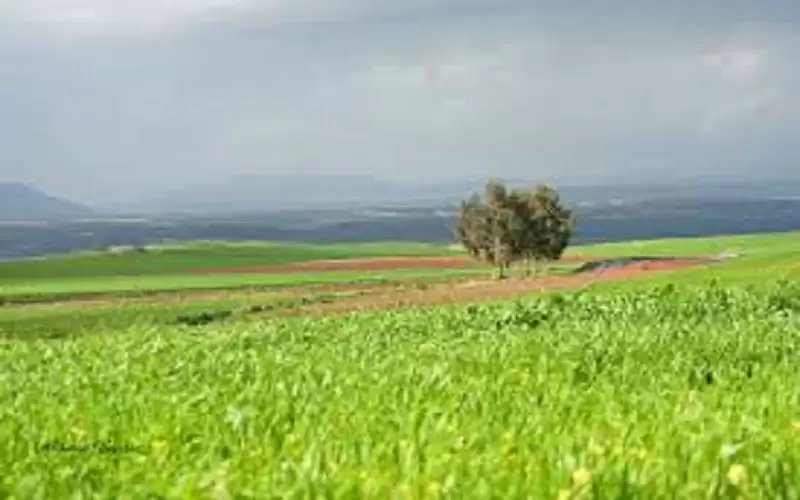 مجلس الوزراء يوافق على مذكرة التعاون