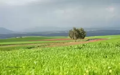 مجلس الوزراء يوافق على مذكرة التعاون