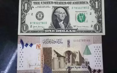 الجنيه السوداني يهبط 16% في يوم