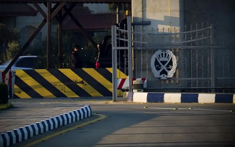 تضامن: 15 جريمة قتل أسرية نتج