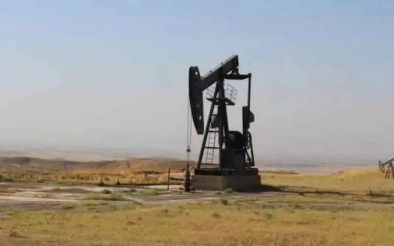 طاقة النواب تناقش إلغاء اتفاقية المشاركة