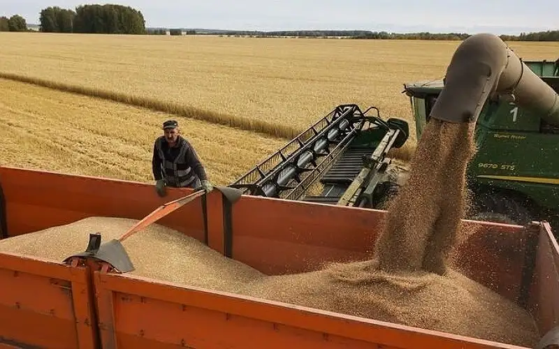 مصر تتحدث عن أزمة القمح