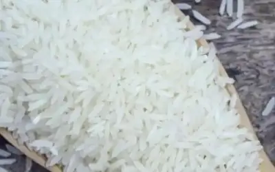 تجارة الأردن: أسعار الأرز محليا لن