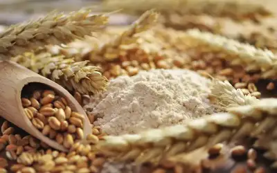 الحكومة: مخزون آمن وكاف من القمح