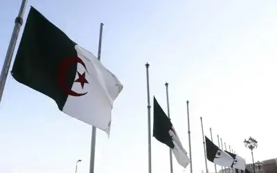الجزائر.. إفراج عن 20 محبوسا نظير