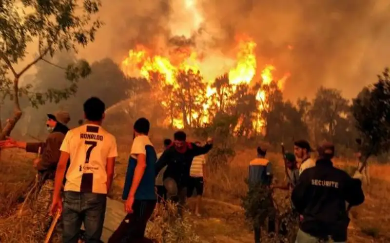 المغرب تعزي بضحايا حرائق الغابات في