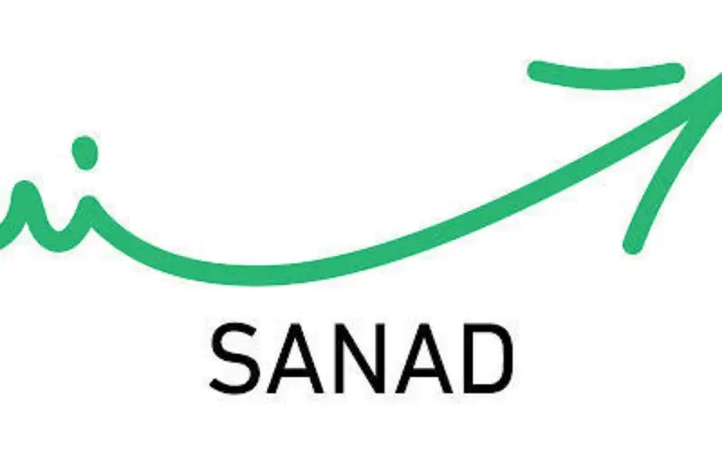 من الاقتصاد الرقمي حول تطبيق سند