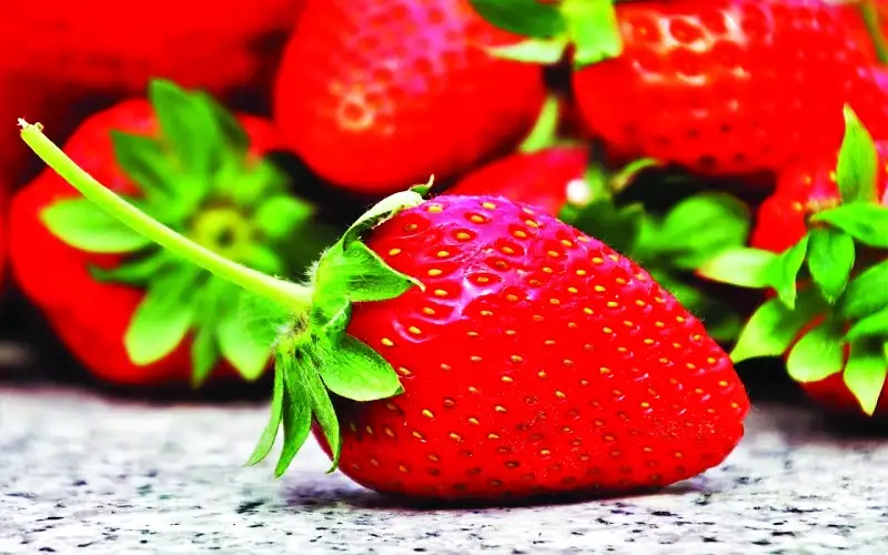 الفراولة تحسن إدراك كبار السن