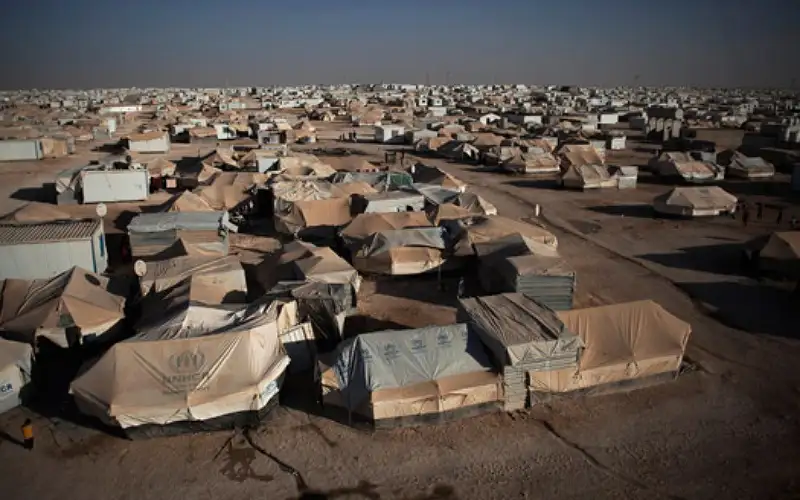 35 مليون دولار قدمت إلى 240