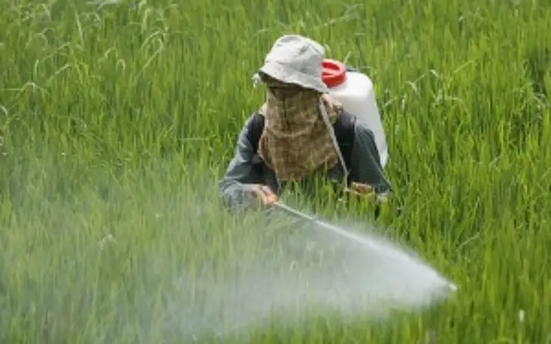 صناعة الأردن: 200 مليون دولار فرص