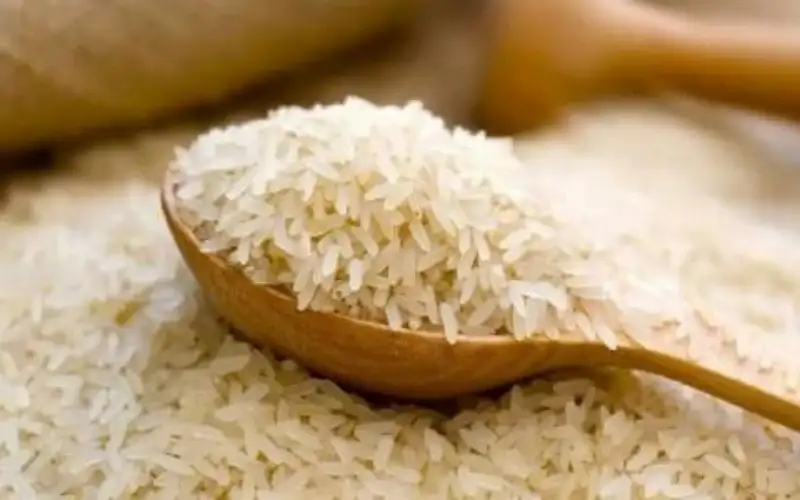 هل يتأثر الأردن بقرار حظر تصدير