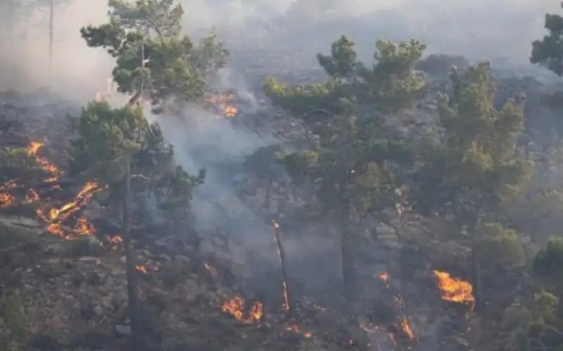 الحرائق تستعر مجددا في إيطاليا وإسبانيا