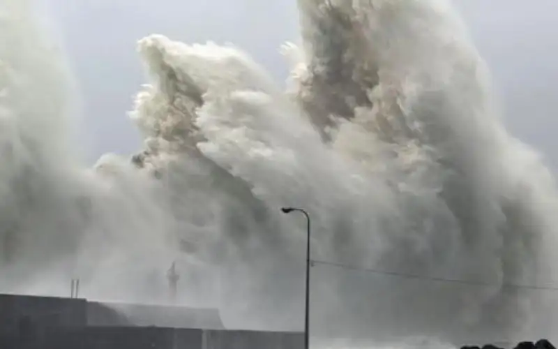 إعصار يضرب في اليابان وإلغاء 264