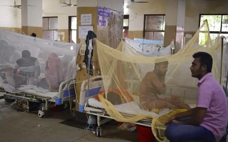 وفاة 273 شخصا بحمى الضنك في