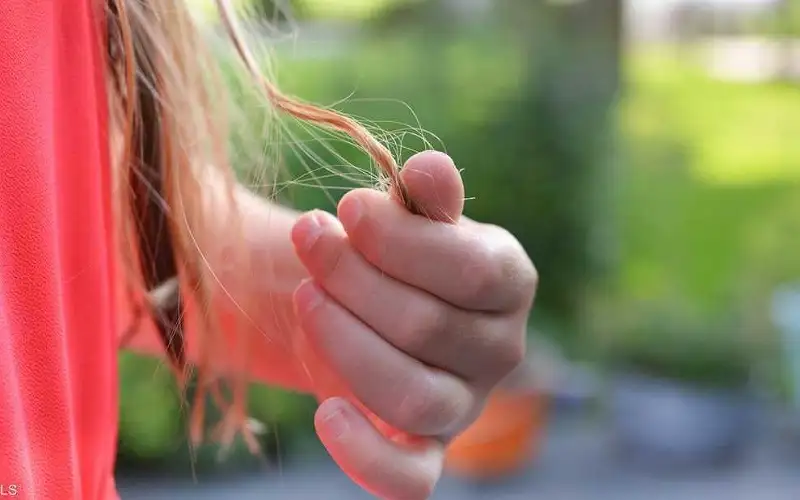 تعاني من تساقط الشعر.. 3 أطعمة