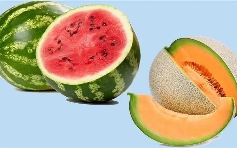 ما هي حمية البطيخ وبم تفيد؟