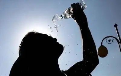 إرشادات مهمة من الأمن خلال موجة