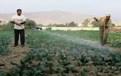 مياه إضافية للمزارعين في مناطق الأغوار