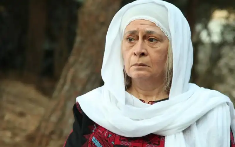 الفنانة جولييت عواد تستقيل من عضوية