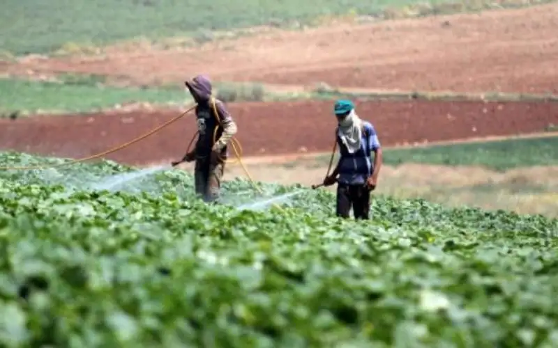 دعوة للمزارعين ومربي الثروة الحيوانية لتجنب