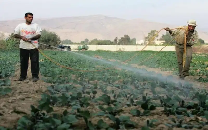 وادي الأردن: استمرارية التزويد المائي للمزارعين