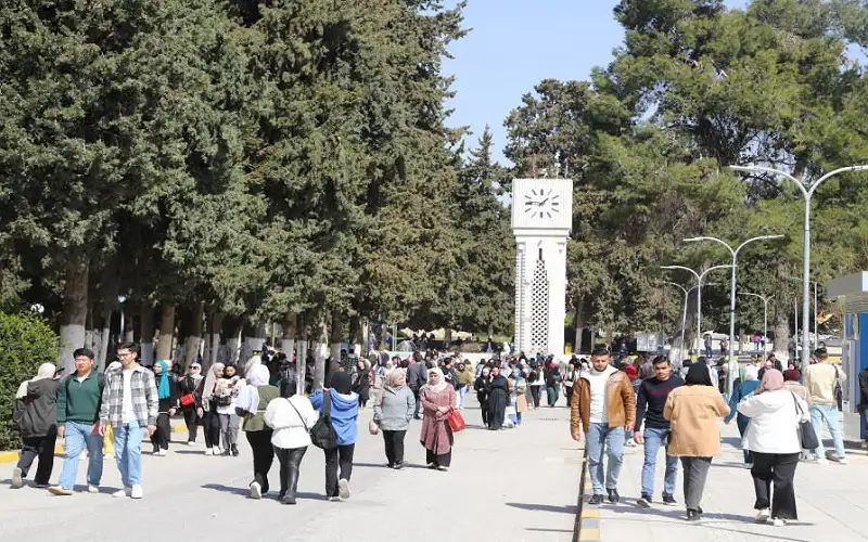 أكثر من 30 تخصصا للأمن السيبراني