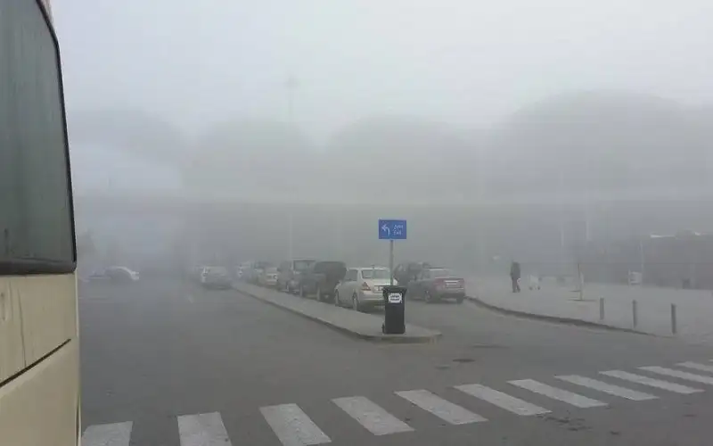 طقس العرب يوضح سبب تشكل الضباب