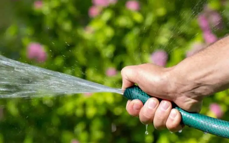 موجة الحر رفعت الطلب على المياه