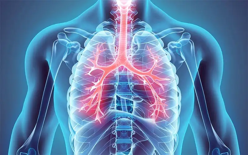 دراسة تربط صحة الرئتين بهذا النوع