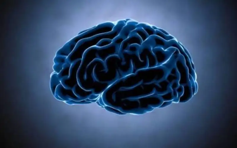 10 طرق سهلة لشحذ الدماغ