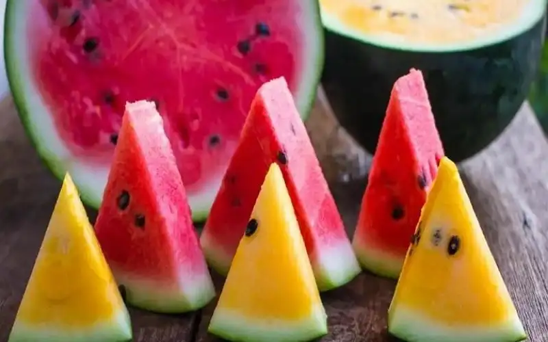 لا حدود لها… تعرف على فوائد