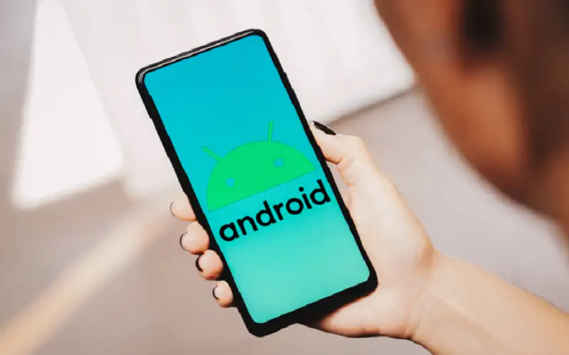 نقطة خضراء لا ينبغي تجاهلها أبدا