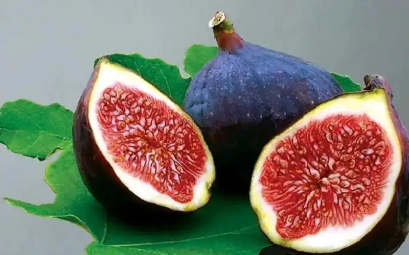 هذا ما يفعله تناول التين في