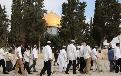 الخلايلة: موظفو المسجد الأقصى يتعرضون للضرب